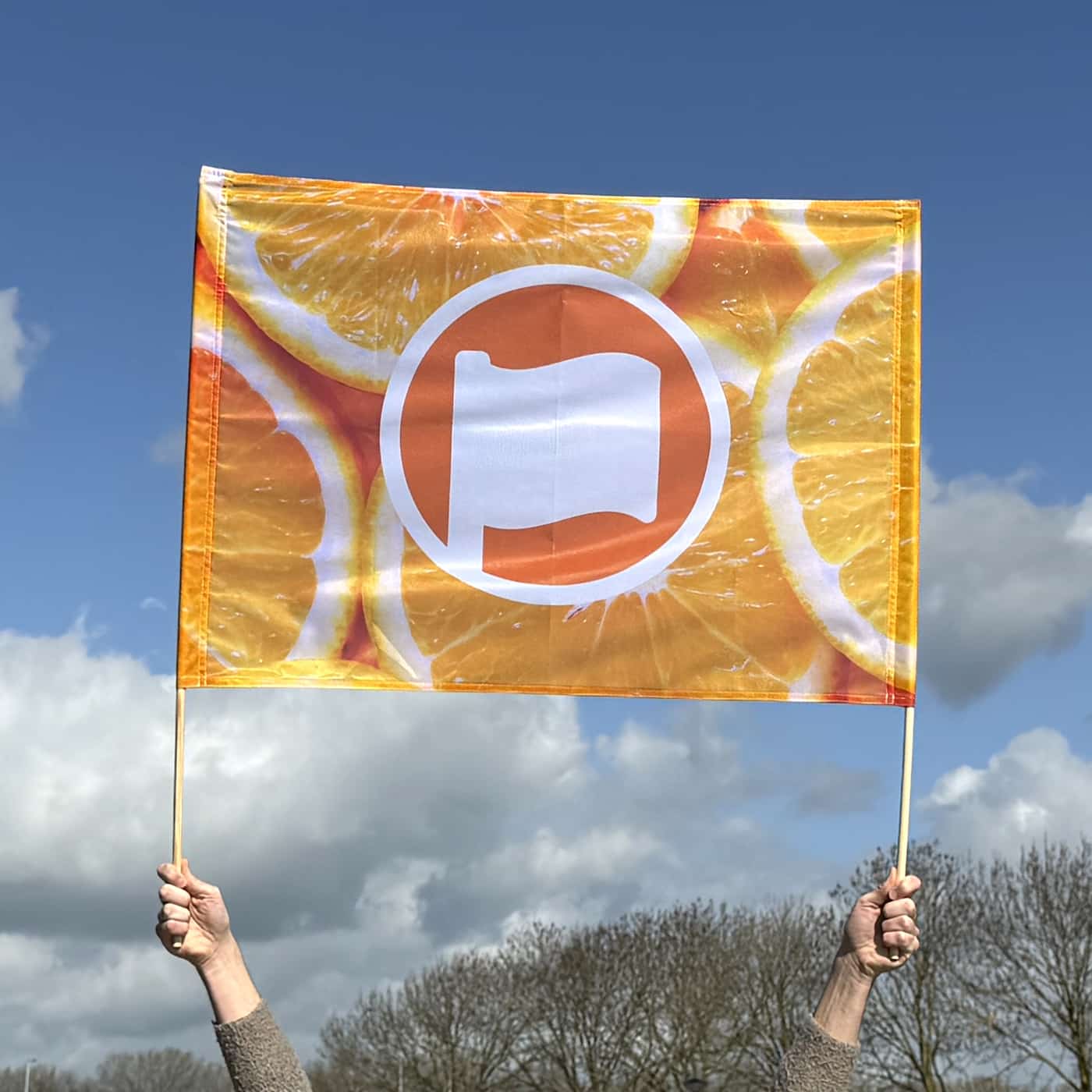 Spandoek met stok