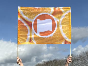Spandoek met stok